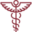 Primary Medical Care Primary Medical Care Icon